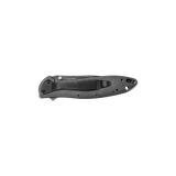 Kershaw Leek 1660CBBW